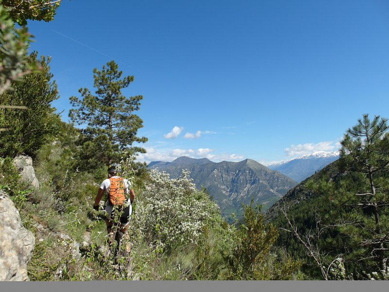 Mont-Vial : bucolique