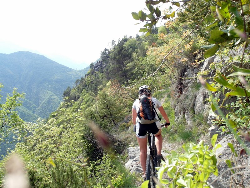 #51 vers Tournefort : bon roulage! vers Tournefort : bon roulage!
