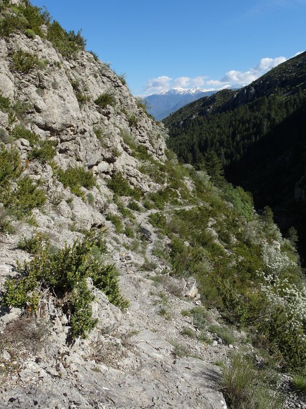 Mont-Vial : expo, marches très hautes, quelques passages à pied s'imposent