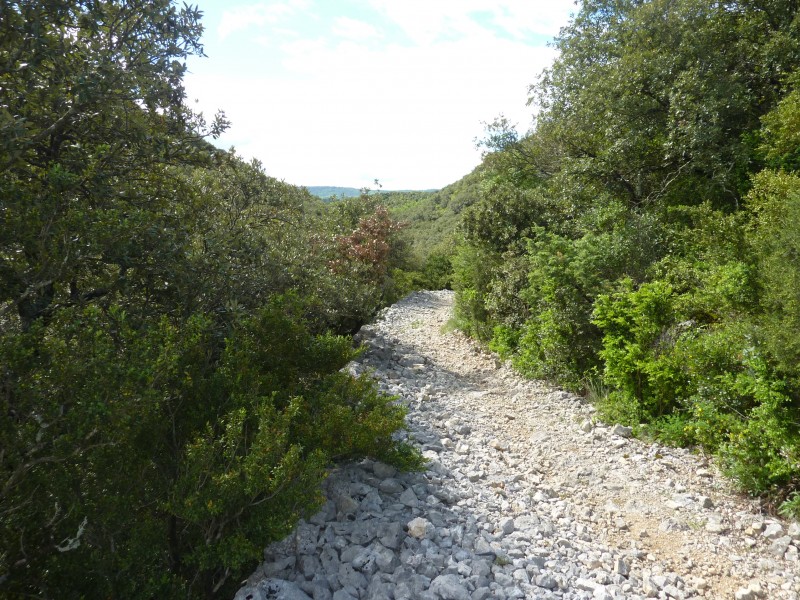 #2 Sentier de Tardre : Un peu de cailloux quand même !!! Sentier de Tardre : Un peu de cailloux quand même !!!