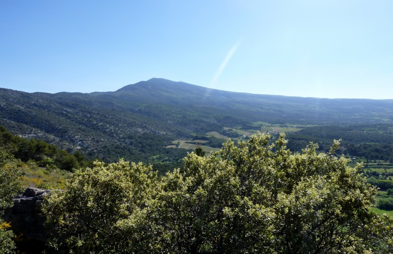 Versant sud du Ventoux : Une vraie mine de sentiers !