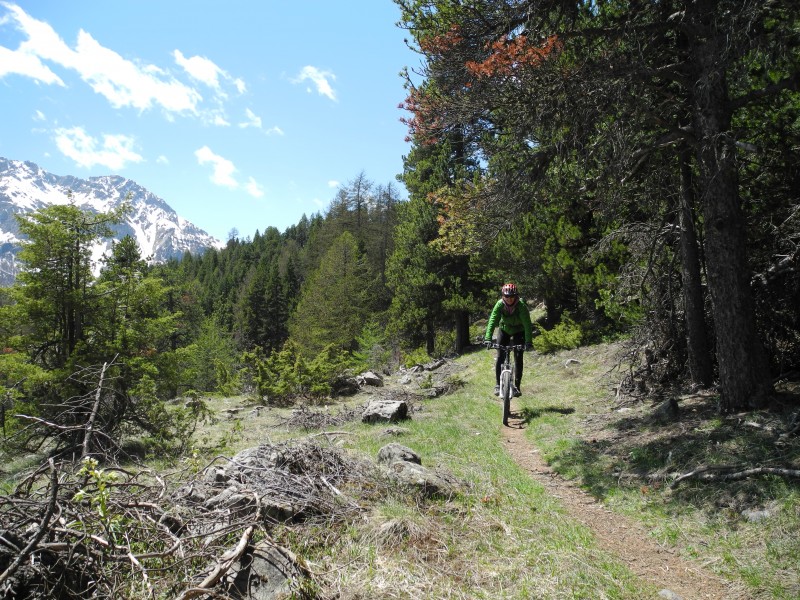 #4 Rortie : sentier assez cool. Rortie : sentier assez cool.