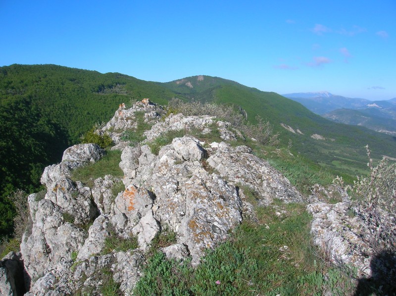 #2 vers le ventoux : belle vue vers d vers le ventoux : belle vue vers d'autres sorties