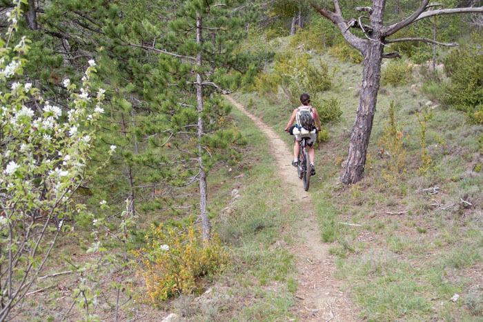 Joli sentier : au-dessus de Castellane.