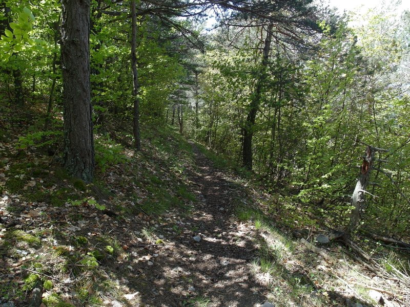 #5 GR10 : section lisse pour se détendre avant les sections plus techniques! GR10 : section lisse pour se détendre avant les sections plus techniques!