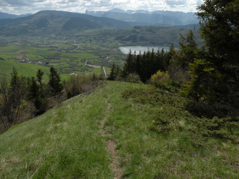 #8 photo8 : descente en crête photo8 : descente en crête