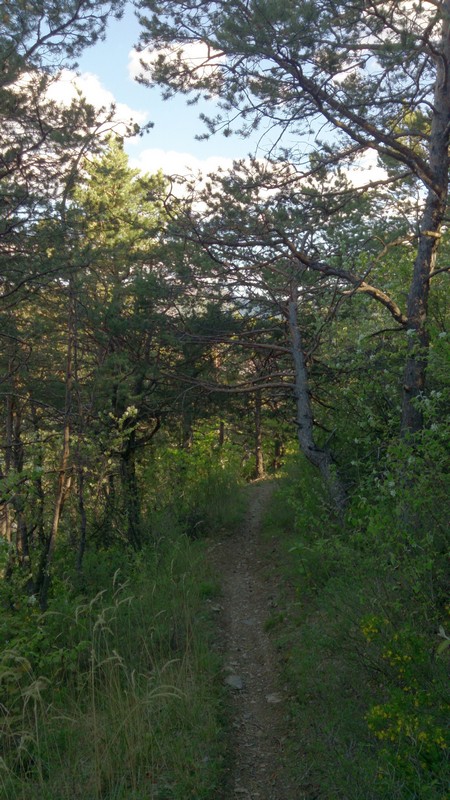 #6 Giéris : Une trace qui fuse dans la partie haute Giéris : Une trace qui fuse dans la partie haute