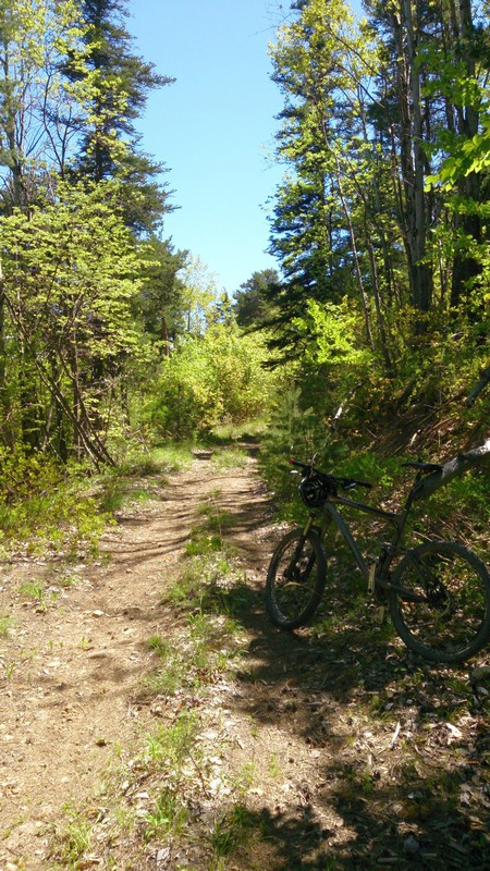 #4 Bois Bonnardel : Agréable variante à la route pour monter au Col Lebraut Bois Bonnardel : Agréable variante à la route pour monter au Col Lebraut
