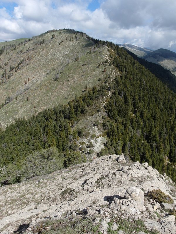 #4 vers pointe de Chavanette : pile au dessus du Col de la Courbaisse avec vue sur le Mont-Fracha Ca doit passer aussi .. vers pointe de Chavanette : pile au dessus du Col de la Courbaisse avec vue sur le Mont-Fracha Ca doit passer aussi ..