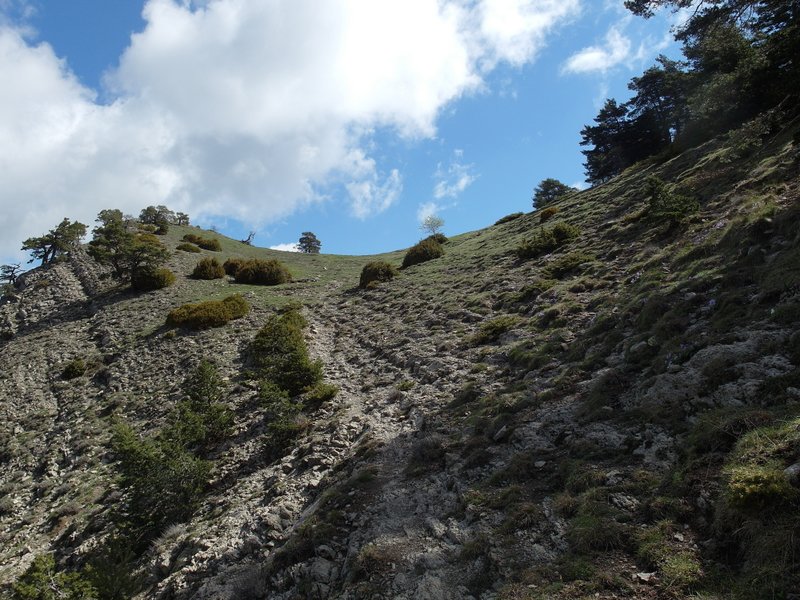 #3 vers pointe de Chavanette : petit col intermédiaire borne 215 vers pointe de Chavanette : petit col intermédiaire borne 215