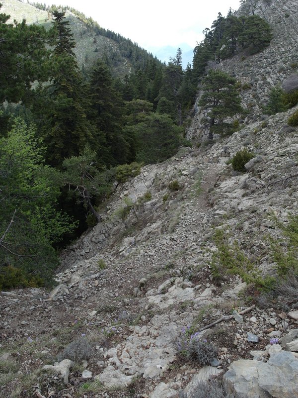 #7 vers pointe de Chavanette : sous le collet un très bon passage pour la descente vers pointe de Chavanette : sous le collet un très bon passage pour la descente