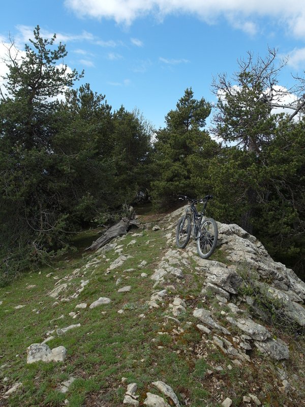 #6 pointe de Chavanette : voilà le sommet Dans les bois. On croit que ca va bien descendre.. mais non en fait que de la très grosse caillasse. pointe de Chavanette : voilà le sommet Dans les bois. On croit que ca va bien descendre.. mais non en fait que de la très grosse caillasse.