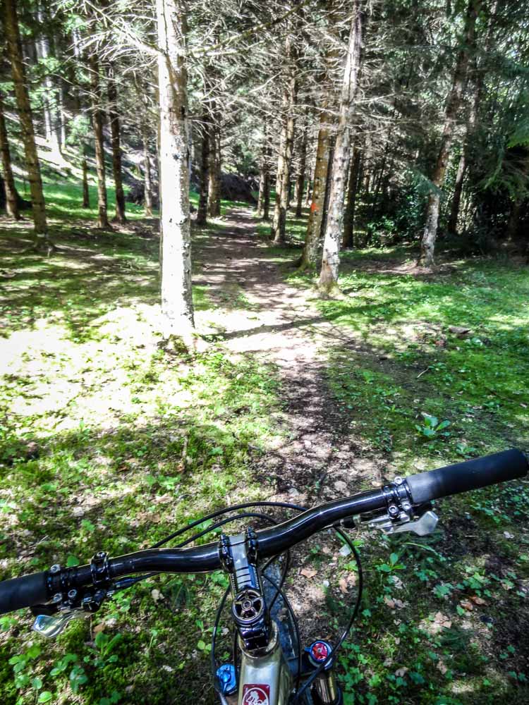 #5 Ruisseau de Pierre : Vraiment agréable ce sentier Ruisseau de Pierre : Vraiment agréable ce sentier
