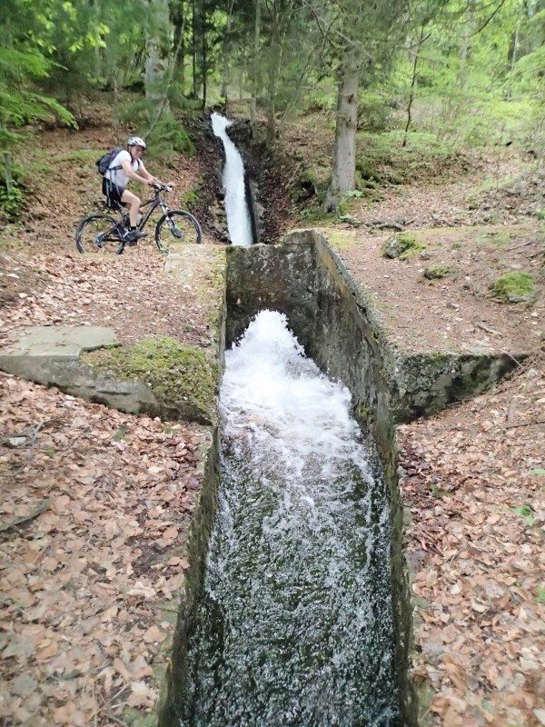 #2 Ruisseau des Arcelles : ça coule fort Ruisseau des Arcelles : ça coule fort