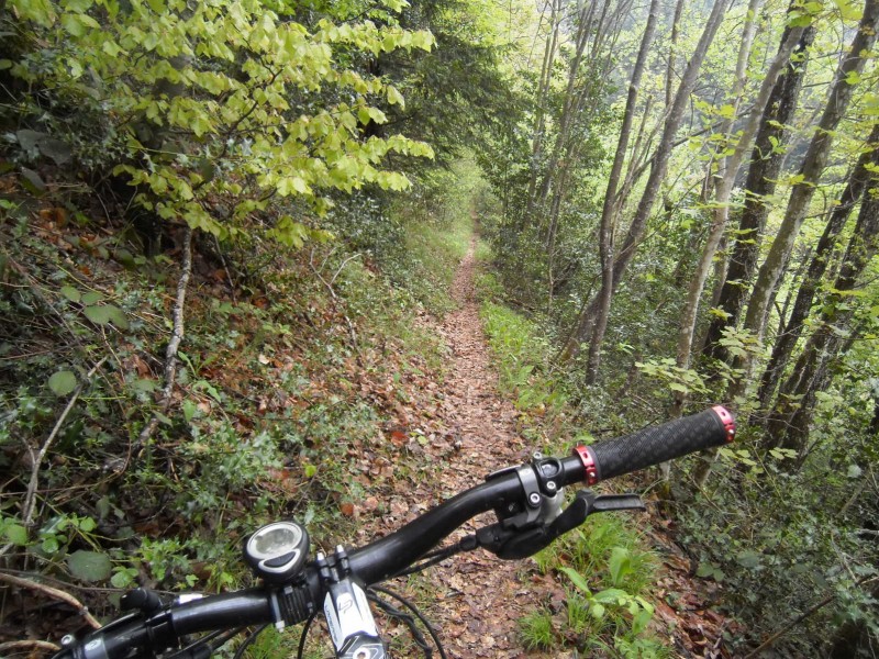 Le sentier des garde : La majeure partie est comment ça