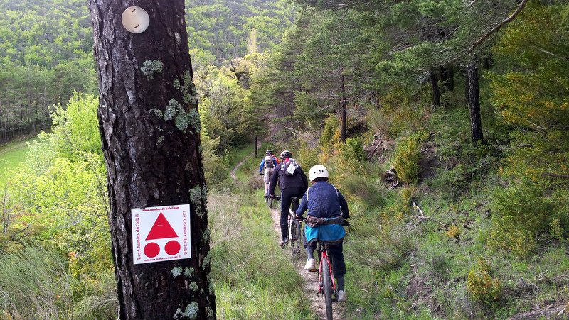 #3 Sentier retour : Sentier en A/R en parallèle du Büech des plus sympathique Sentier retour : Sentier en A/R en parallèle du Büech des plus sympathique