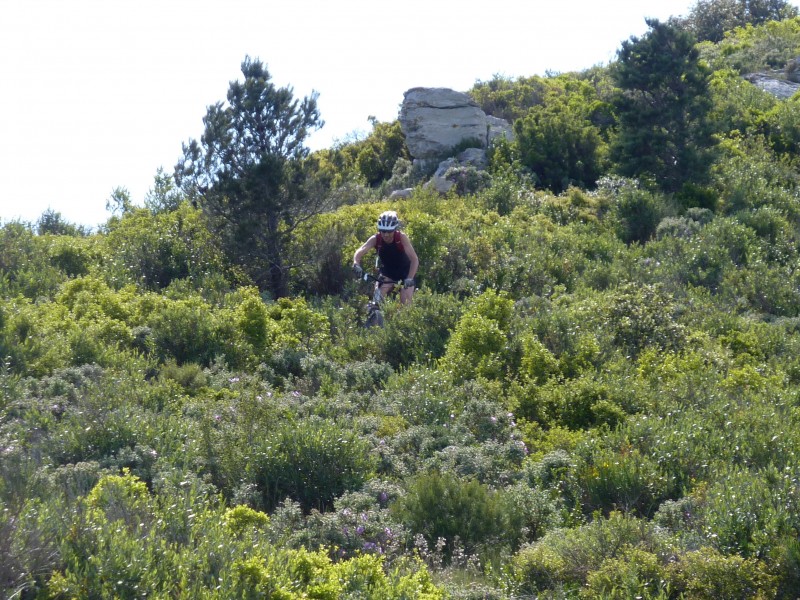 #2 Sentier un poil végétatif : mais ça passe bien au final ! Sentier un poil végétatif : mais ça passe bien au final !