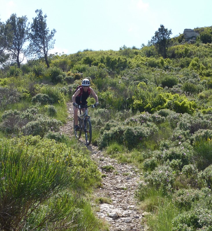 #3 Sentier raccourci : qui évite la piste vers Baumayrane Sentier raccourci : qui évite la piste vers Baumayrane