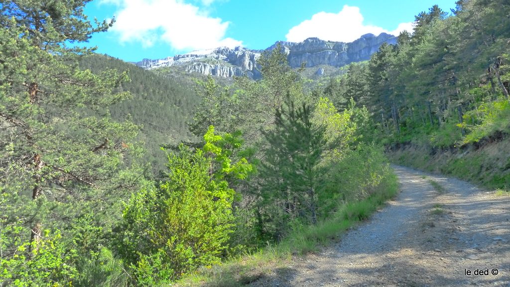 #2 Glandasse : Belle piste toujours bien roulante Glandasse : Belle piste toujours bien roulante