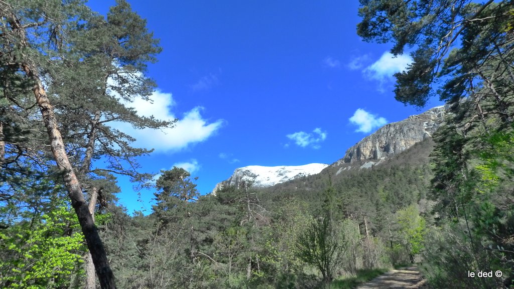 #4 Glandasse : Roc d Glandasse : Roc d'Ambane (1996m)