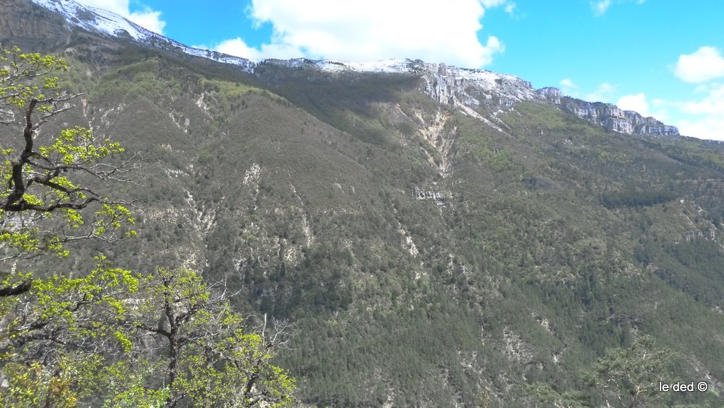 #8 sentier des Combes : On devine l sentier des Combes : On devine l'itinéraire en courbe de niveau (Alt. 1100m environ)