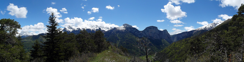 #4 Le Faraut Le Faraut