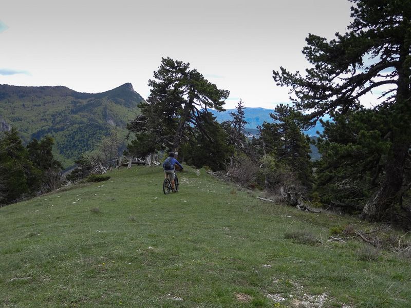 #6 Les Près : Nous redescendons sur un petit chemin sympa au début Les Près : Nous redescendons sur un petit chemin sympa au début