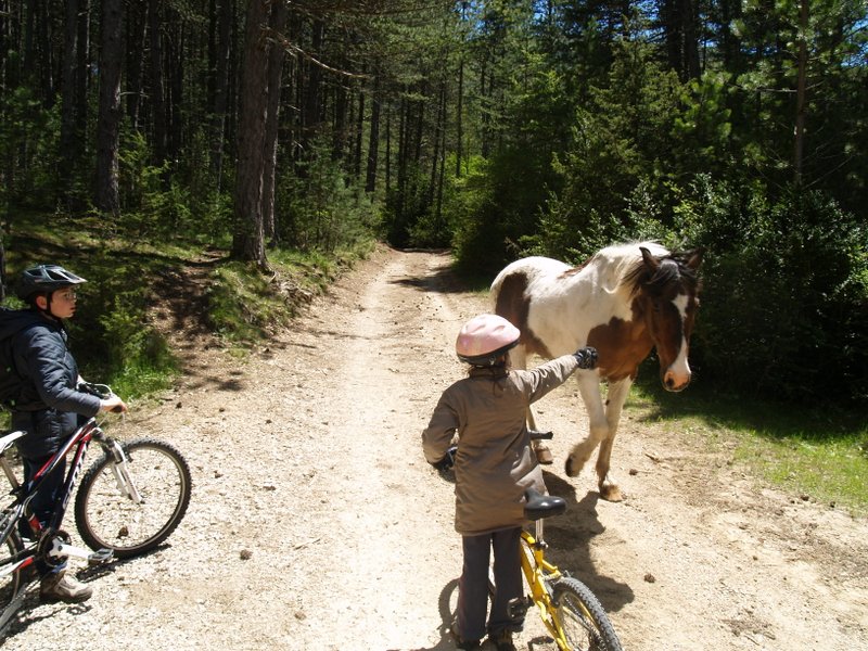 Des rencontres sympathiques : C'est ce genre de rencontres qui motive les enfants