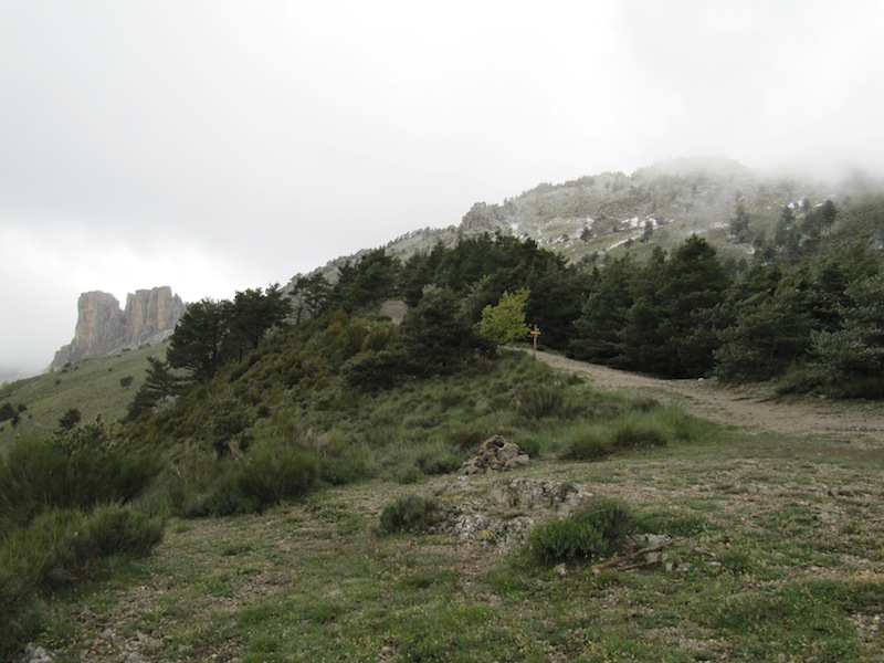 Castellane/Montagne de Robion : Les cadières de Brandis