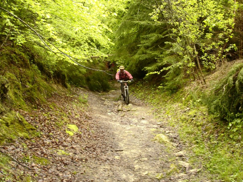 #7 Sentier sablonneux : Portion spéciale "banane"! Sentier sablonneux : Portion spéciale "banane"!