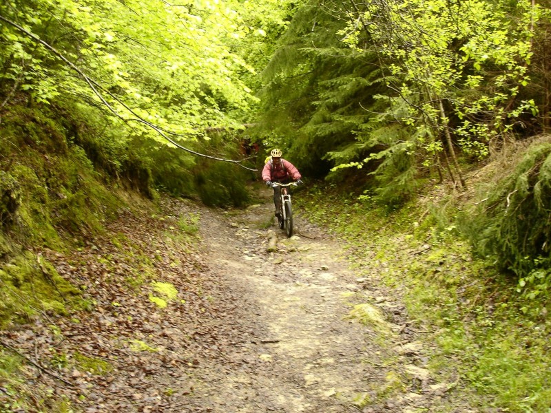 Sentier sablonneux : Portion spéciale "banane"!