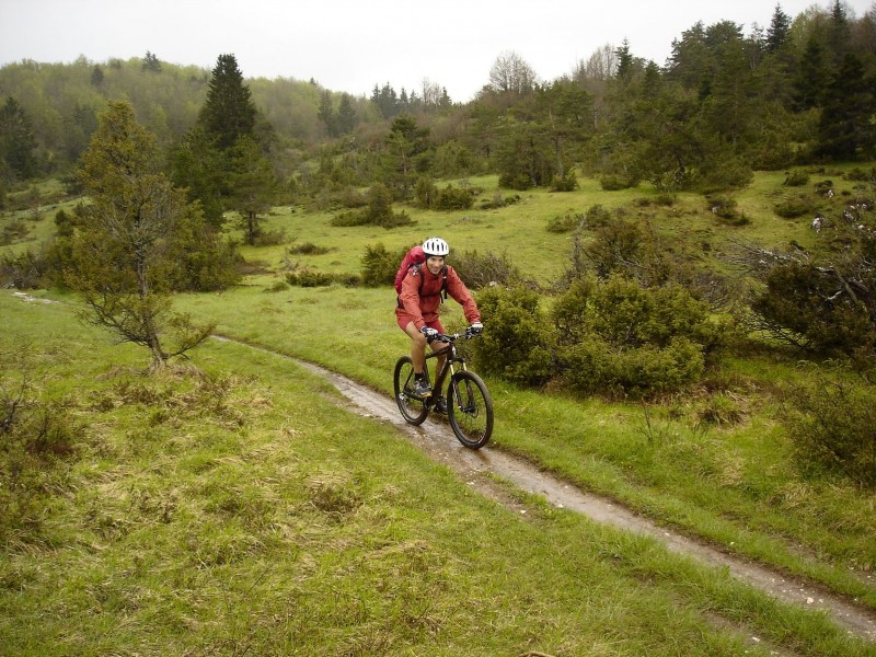 Belles prairies : Momo en vacances dans le Vercors, et quelles vacances!