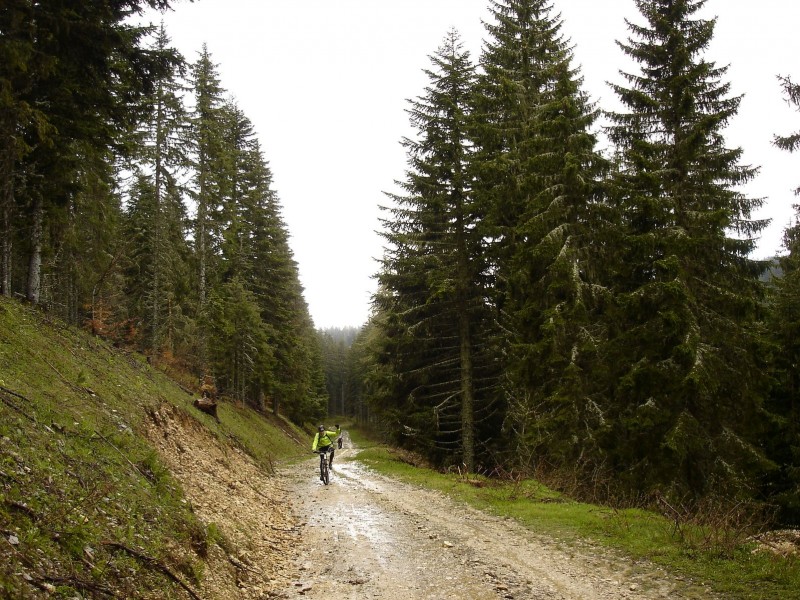 Encore une averse : dans la montée au rocher d'Herbouilly (plateau de Julien)