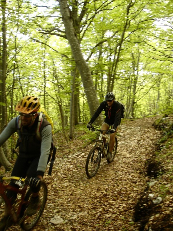 #8 Fin du bois des Chaumes : Passage sec! Fin du bois des Chaumes : Passage sec!