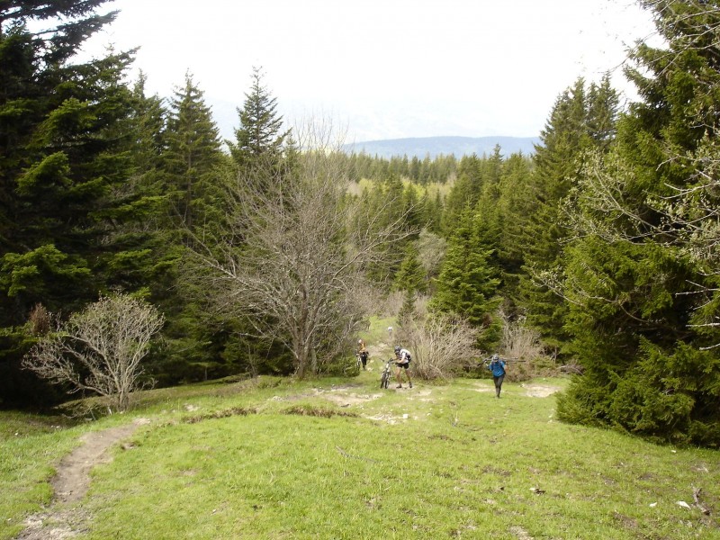 Montée au col de l'Arc : puis ça pousse