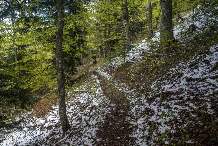 #7 Sentier des Templiers : ça vasouille un peu, mais ça roule ;) Sentier des Templiers : ça vasouille un peu, mais ça roule ;)