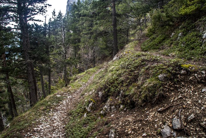 #4 Sentier de Piégros : mort bon! Sentier de Piégros : mort bon!