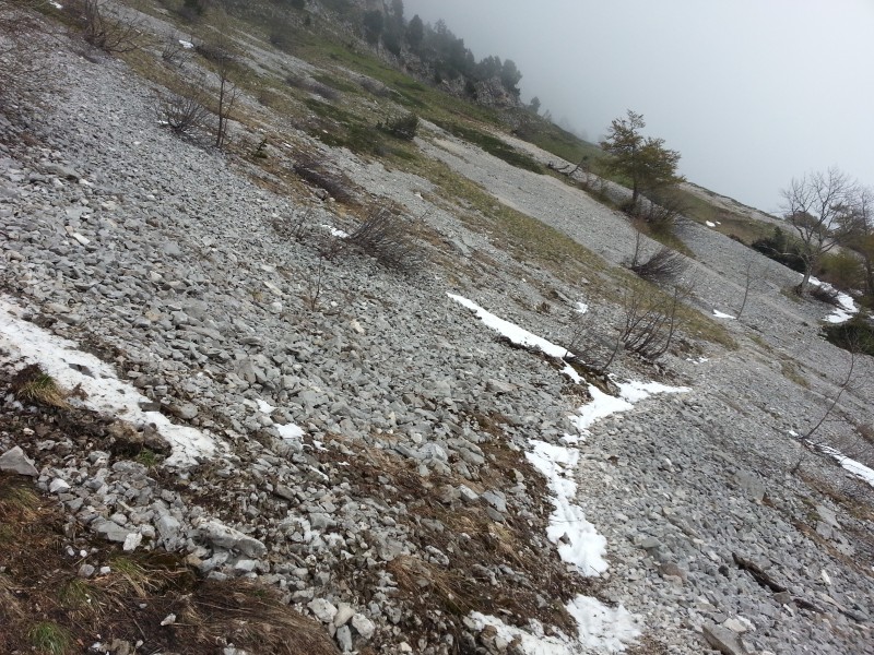 #2 Sous Montbrun : Ce soir la neige aura disparu Sous Montbrun : Ce soir la neige aura disparu
