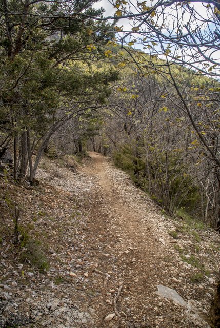 #4 Cote Queyras : puis ça devient plus linéaire Cote Queyras : puis ça devient plus linéaire