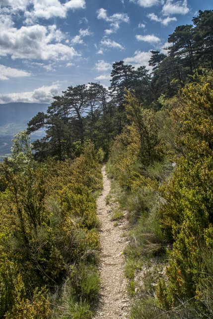 #15 Pié de Boeuf : la descente, bien sympa Pié de Boeuf : la descente, bien sympa
