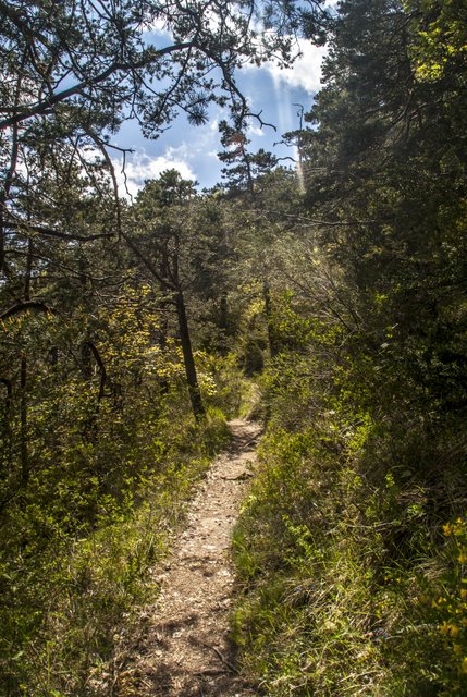#11 Col des Caux : du single, toujours du single... Col des Caux : du single, toujours du single...