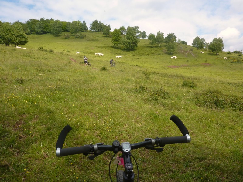 #13 Bêtes et machines à cornes. : Alors là, si l Bêtes et machines à cornes. : Alors là, si l'Mich n'est pas sur le vélo c'est que c'est vraiment pentu!!!