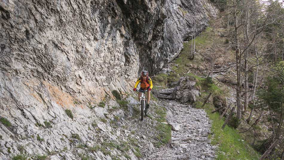 #12 Au pied de la falaise : il y a de la pavasse qui roule en début de saison Au pied de la falaise : il y a de la pavasse qui roule en début de saison