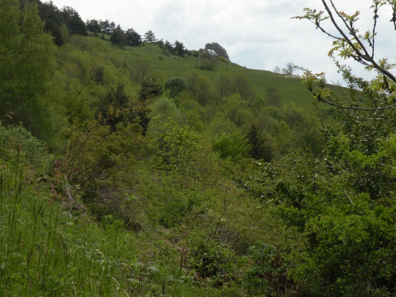 #9 photo9 : Montée à la Pierre percée photo9 : Montée à la Pierre percée