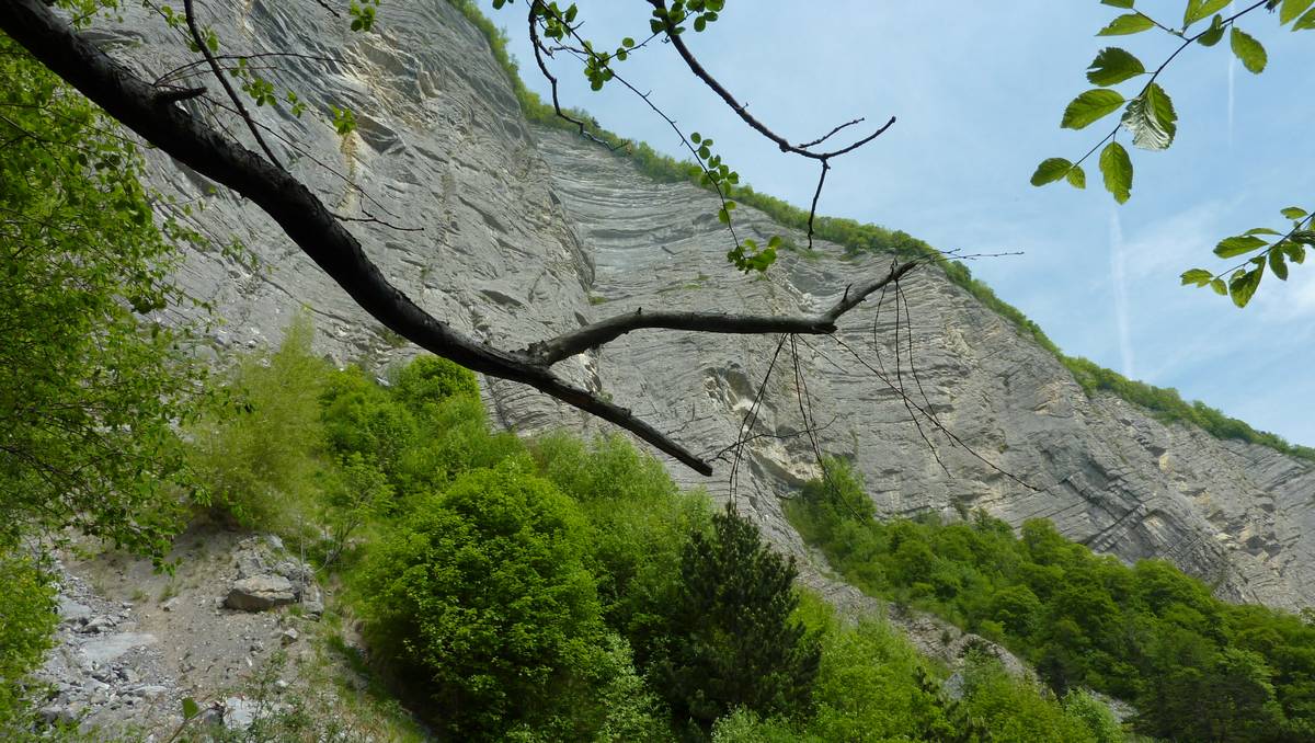 #7 Sous les falaises : ça a pas l Sous les falaises : ça a pas l'air solide ce calcaire...