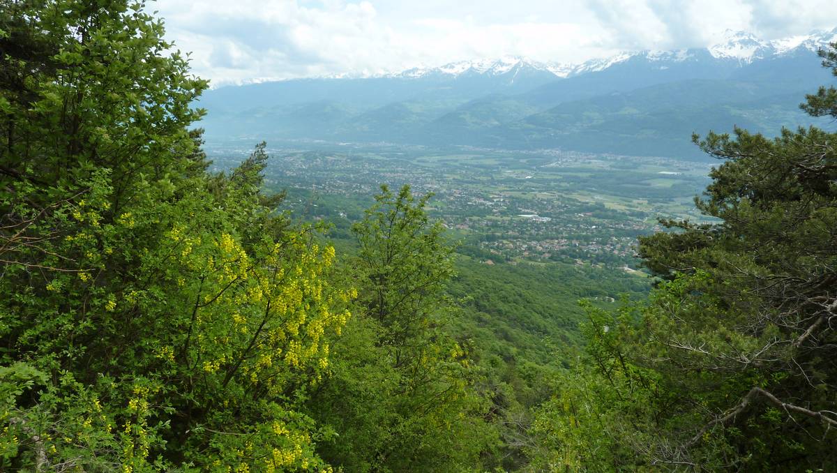 #10 Grésivaudan : ça bourgeonne sur Belledonne Grésivaudan : ça bourgeonne sur Belledonne