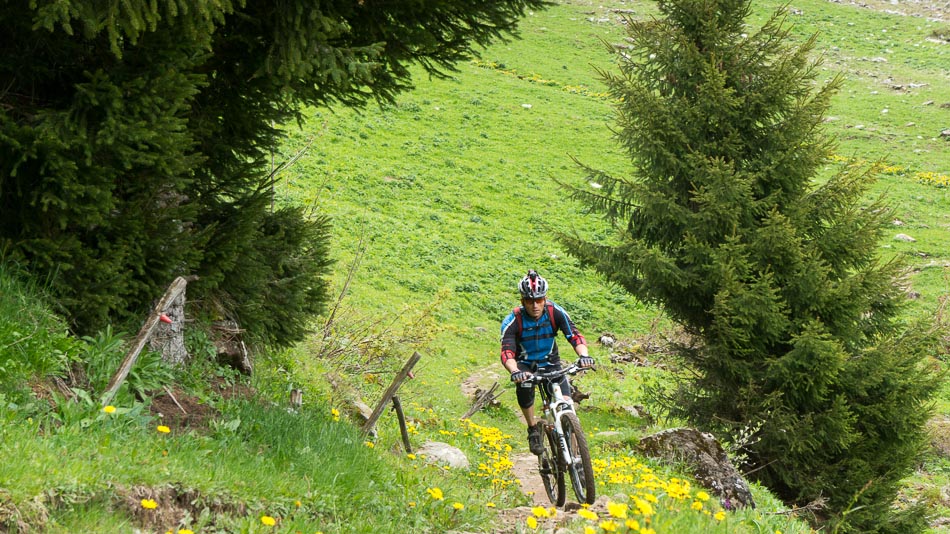 Lac des Confins : joli sentier