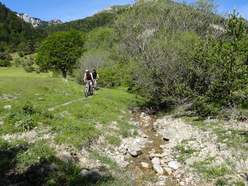 1ere descente : Un final sympathique avec les patous pas très loin