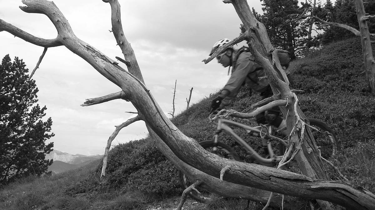 #19 Nature morte : Ah non y Nature morte : Ah non y'a Tchouf !!