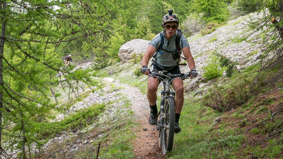 On arrive dans le mélezin : joli sentier rapide et ludique